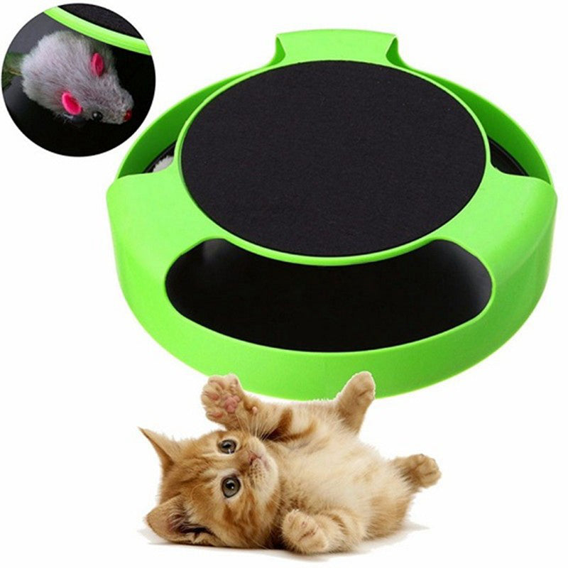 Cat toy color option