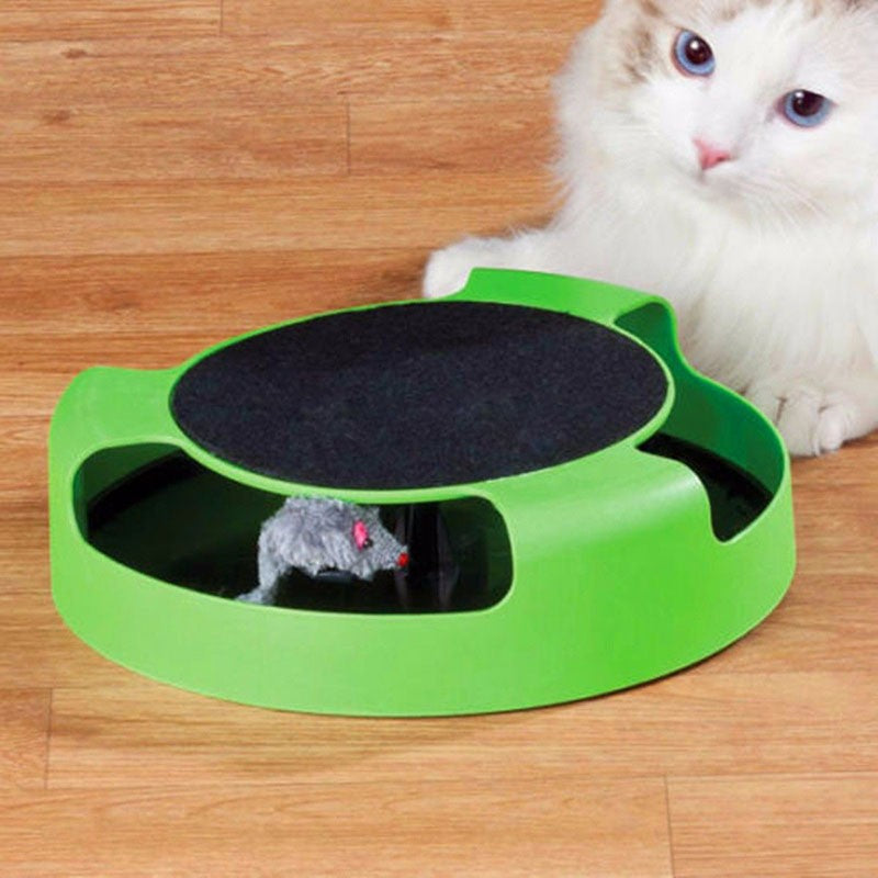 Cat playing with automatic toy